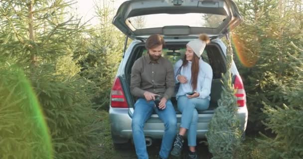 Bonita pareja sonriente feliz amorosa descansando en el maletero de los coches después de comprar abeto en la silvicultura y disfrutar de una conversación conjunta, vista frontal — Vídeos de Stock