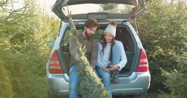 Guapo chico barbudo alegre sentado junto con su alegre novia satisfecha en el maletero de coches y mirando abeto seleccionado que compraron juntos en la silvicultura — Vídeo de stock