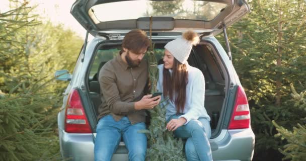 Atraente satisfeito feliz jovem casal moderno sentado em carros tronco, segurando abeto e falando rodeado de belas árvores de abeto verde — Vídeo de Stock