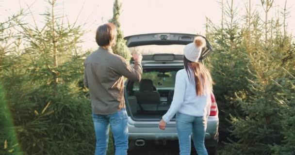 Vue arrière de beau sourire heureux jeune couple moderne qui met dans le coffre de voitures beau sapin et après avoir donné cinq haut entre les plantations de sapins — Video