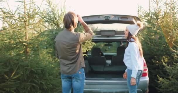 Bakåt bild av attraktiva nöjda glada unga par i casual kläder som sätter i autos bål underbart gran träd som de köpte i skogsbruk och ger hög fem varandra i omgiven — Stockvideo