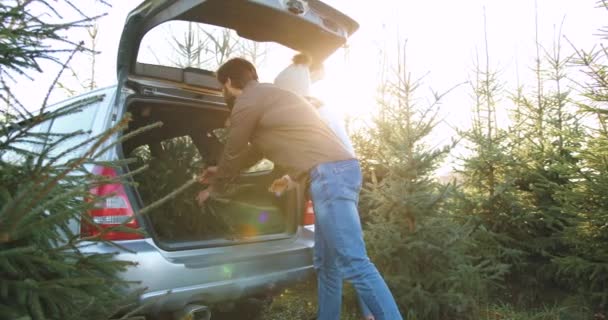 Visão lateral de bom aspecto feliz homem barbudo jovem positivo e mulher bonito em bobble chapéu que colocando em carros tronco buyed abeto árvore e abraçando uns aos outros depois de dar alta cinco — Vídeo de Stock