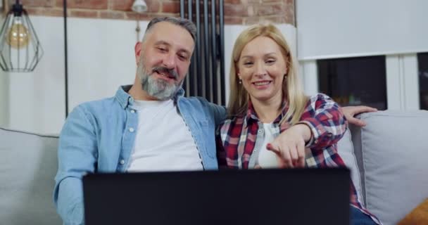 Retrato de adorable pareja feliz adulta amorosa que descansa en el sofá en un apartamento bellamente decorado y revisa el programa entretenido en la computadora — Vídeo de stock