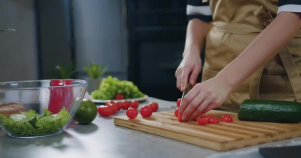 Mutfak masasının yanında sebze salatası pişirirken elinde bıçakla domates doğrayan kimliği belirsiz bir kadın. — Stok video