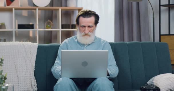 Aangename gefocuste hoogopgeleide attente 70-jarige bebaarde man zittend op de bank in gezellige woonkamer en werkend op de computer, close-up — Stockvideo