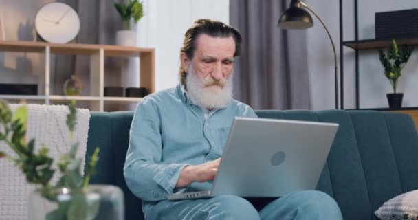 Likable serious experienced senior bearded man sitting on the soft couch in cozy apartment and typing on computer,close up,slow motion — Stock Video