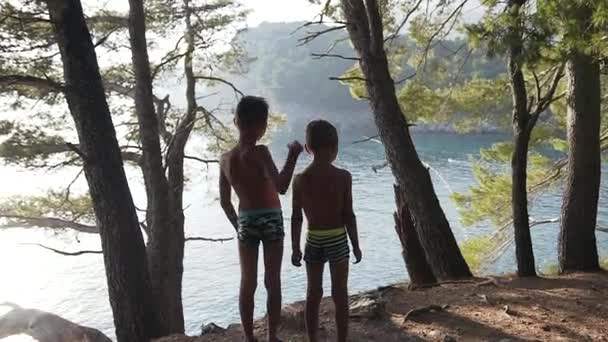 Rückansicht von zwei Jungen im Alter von 5 und 7 Jahren, die auf einem hohen Felsen stehen und während der Sommerferien das Meer bewundern. — Stockvideo