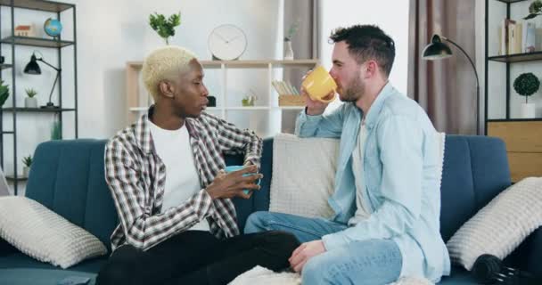 Beschleunigte Erschießung gutmütig lächelnder liebevoller junger gemischter Rasse homosexuelles Paar, das zu Hause während angenehmer gemeinsamer Gespräche Tee trinkt, LGBT-Community-Konzept — Stockvideo