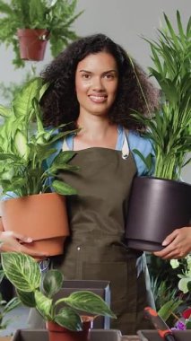 portre, bitki, iş, çiçekçi, dükkan, kadın, kadın, çiçek, genç, gülümseyen, önlük, güzel, çalışan, işçi, meslek, sahip, kişi, botanik, yeşil, beyaz, mağaza, girişimci, doğa, perakende, iş, neşeli, kız, flora, satış, iş