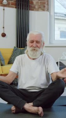 Evde hareketli, rahat, sakallı, yaşlı bir adam ve gözlüklü eşinin modern oturma odasında pratik yaparken yoga minderlerinin üzerinde oturduğu bir yer.