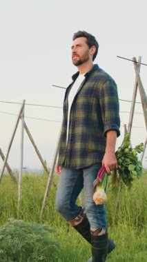Çiftçi bir çiftlikte pancar kökü tutarak tarlada yürüyor. Adam sahada yürüyor ve sepetten sağlıklı yetişmiş yiyecekleri tutuyor ve onları zevkle inceliyor. Doğal sağlıklı yiyecekler. Tarım endüstrisi konsepti. Yavaş çekim.
