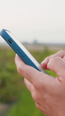 Günbatımında rüzgarlı havada bitkilerle birlikte tarımsal alanda akıllı telefon ve cep telefonundan bilgi arayan çiftçilerin ellerini kapatın. İşadamı hemen ürün satmak için online anlaşma yaptı..