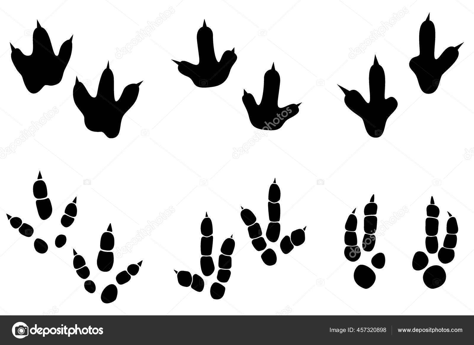 Vector Dinosaur Footprintストックベクター ロイヤリティフリーvector Dinosaur Footprintイラスト ページ 5 Depositphotos Vector Dinosaur Footprintストックベクター ロイヤリティフリーvector Dinosaur Footprintイラスト ページ 5 Depositphotos