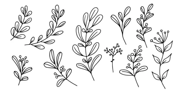 Conjunto de elementos florais desenhados à mão, plantas de rabiscos e ramos sobre um fundo branco. Elementos esboçados de design. Ilustrações de doodle vetorial. —  Vetores de Stock