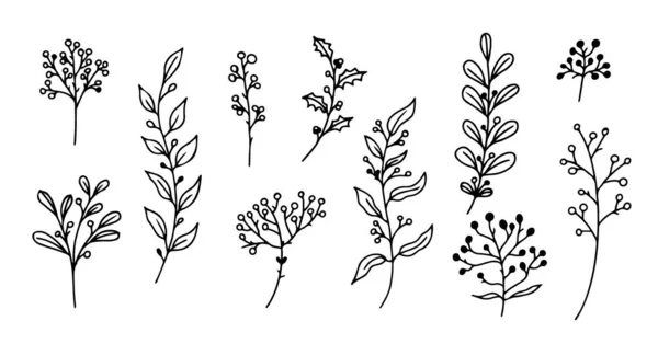 Conjunto de elementos florales dibujados a mano, plantas de garabato y ramas sobre un fondo blanco. Elementos incompletos del diseño. Ilustraciones de garabatos vectoriales. — Archivo Imágenes Vectoriales