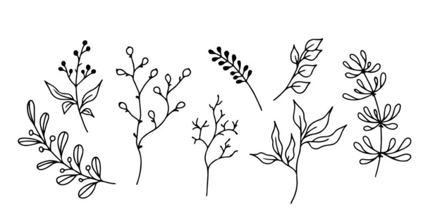 Conjunto de elementos florais desenhados à mão, plantas de rabiscos e ramos sobre um fundo branco. Elementos esboçados de design. Ilustrações de doodle vetorial. —  Vetores de Stock