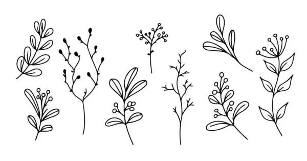 Conjunto de elementos florais desenhados à mão, plantas de rabiscos e ramos sobre um fundo branco. Elementos esboçados de design. Ilustrações de doodle vetorial. —  Vetores de Stock