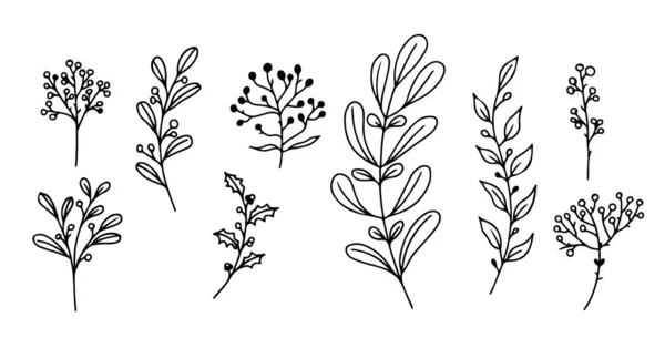 Conjunto de elementos florais desenhados à mão, plantas de rabiscos e ramos sobre um fundo branco. Elementos esboçados de design. Ilustrações de doodle vetorial. — Vetor de Stock