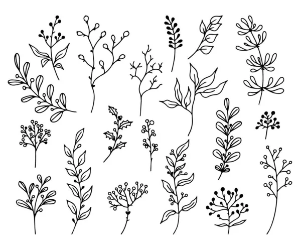 El yapımı çiçekli elementler, beyaz arka planda karalama bitkileri ve dallar. Tasarımın esrarengiz unsurları. Vektör karalama çizimleri.