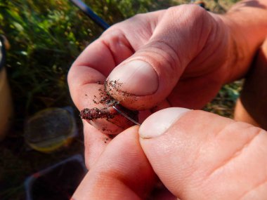 Kancaya takılmış solucan balık avına çıkmış.