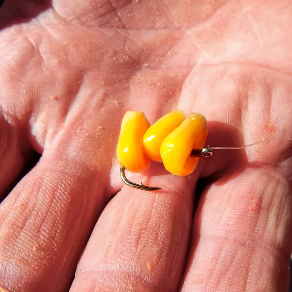 Corn Hook Fishing Bait — Stock Photo, Image