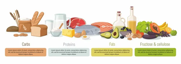 Huvudsakliga matgrupper - makronäringsämnen. Kolhydrater, fetter, proteiner och fruktos. Vektorinfografik — Stock vektor