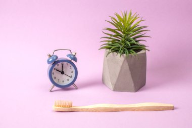 Çevre dostu Bambu diş fırçası ve gri arka planda izole edilmiş yeşil çiçek. Oral bakım konsepti. Ekolojik Sağlık Aksesuarları