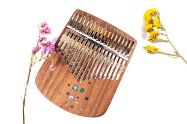 Kalimba veya Mbira, Afrika kökenli bir müzik enstrümanıdır. Müzik konsepti