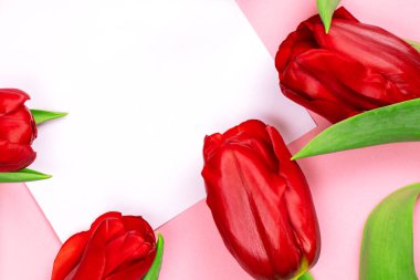 Tebrik kartı güzel laleler ve mesaj için yer. Kopyalama alanı olan düz bir şablon. Tasarım fotoğrafçılığı