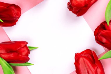 Tebrik kartı güzel laleler ve mesaj için yer. Kopyalama alanı olan düz bir şablon. Tasarım fotoğrafçılığı