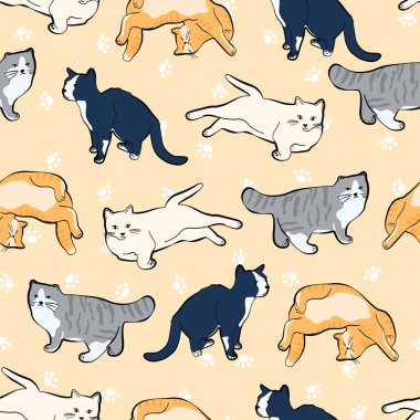 Farklı pozlardaki kedi kusursuz poz verir. Kırtasiye, kumaş, ambalaj ve evcil hayvan temalı tasarımlar için ideal.