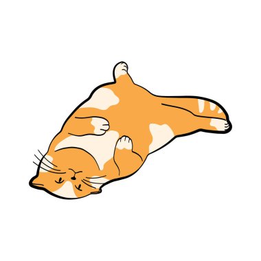 Uyuyan sevimli kedi yalan söylüyor. Çizgi film kedisi. Çıkartmalar, kırtasiye malzemeleri, baskılar ve hayvan temalı tasarımlar için mükemmel..