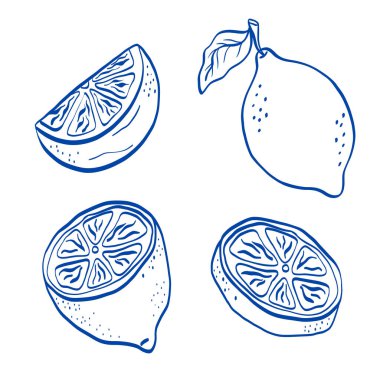Taze yemek ve yaz temalı tasarımlar için temiz ve kalın çizgili meyve ve dilimlenmiş parçalarla limon çizimi seti. Paketleme, çıkartma ve tarif grafikleri için mükemmel.
