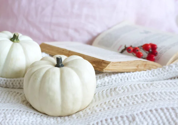 Autumn in bed composition. White pumpkins, plaid, rowan berries and old book. Linen background. Thanksgiving, Halloween holiday concept. Empty space. Flat lay, top view.