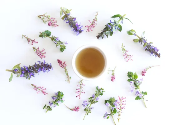 Herbal tea from medicinal herbs in a cup isolated on white background.A set of herbs from folk medicine.Botanical,herb and flower concept.