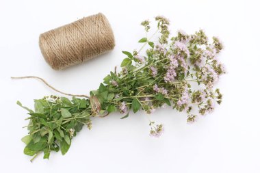 Beyaz arka planda Oregano. Origanum kaba bir isim. Yenilebilir çiçek. Taze mutfak bitkileri. Yemek ve doğa konsepti. Odaklanamaz..
