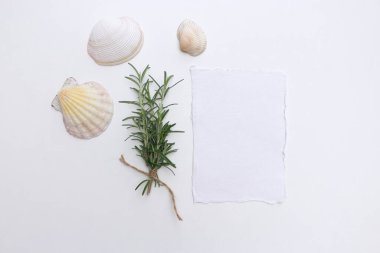 El yapımı kağıt tebrik kartı ve beyaz arka planda deniz kabukları olan sicimle bağlanmış taze biberiye dalları olan kadınsı bir sahne. Sağlıklı yiyecekler. Aşçılık, bahçıvanlık kavramı.