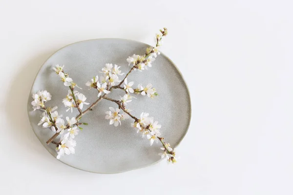 Szekrény Virágzó Mandula Cserépedény Lemez Fehér Asztal Háttér Virágkompozíció Női Stock Kép
