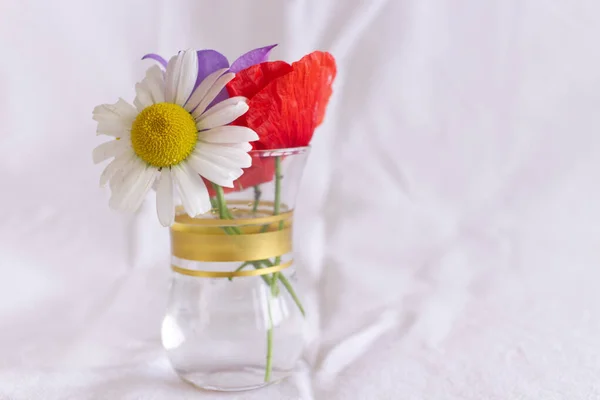 Ramo de hermosas flores silvestres en un jarrón de vidrio sobre fondo blanco.Espacio para el texto. — Foto de Stock