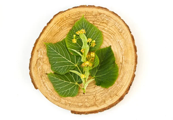 La flor de tilo y el té de hierbas en un tablero de madera.Medicina alternativa. Farmacia natural, concepto de autocuidado. Fondo blanco. —  Fotos de Stock