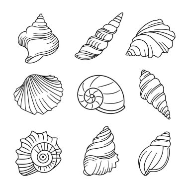 Çizgi Doodle Okyanus Kabuğu, Salyangoz ve Kabuk vektör çizimi