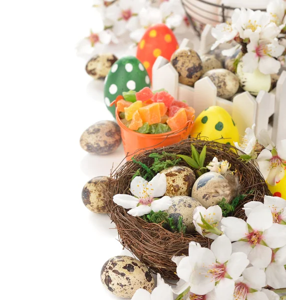Kvetoucí větve a vejce — Stock fotografie