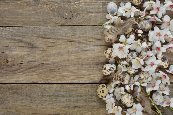 Blommande grenar och ägg — Stockfoto