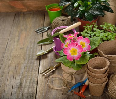 Bahçe aletleri yakın çekim