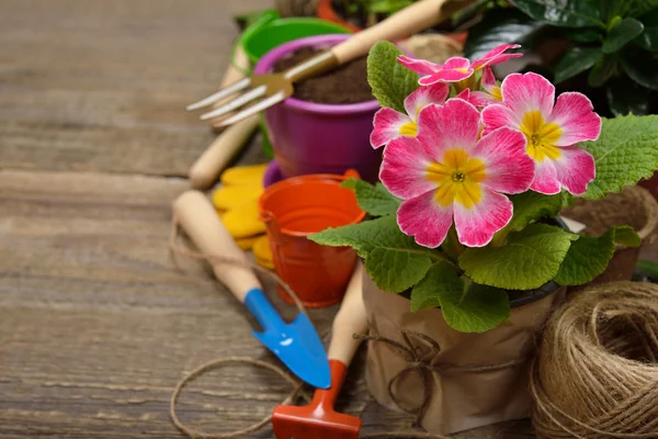 Attrezzi da giardino da vicino — Foto Stock