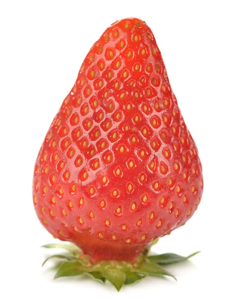 Fresh strawberries close up — Stock Photo, Image