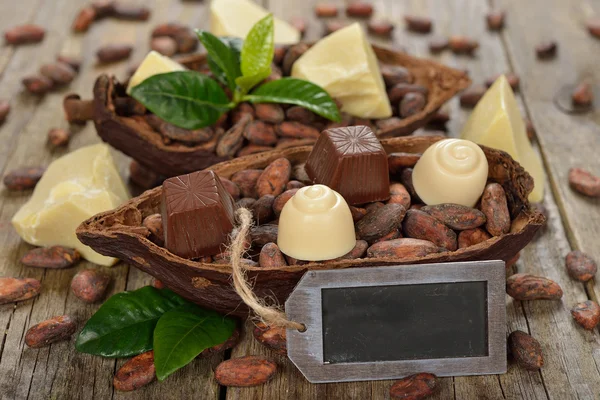 Chocolate truffles close up — Stock Photo, Image