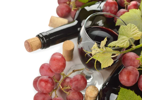 Bottle of wine and grapes — Stock Photo, Image