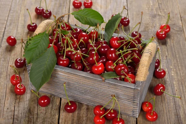 Fresh cherries in a box — Stock Photo, Image