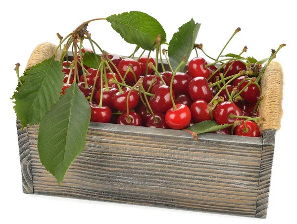 Cerises fraîches dans une boîte — Photo